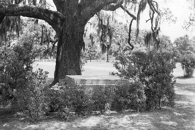 New Orleans Dead of Night Ghosts and Cemetery Bus Tour - What the $55 price really buys