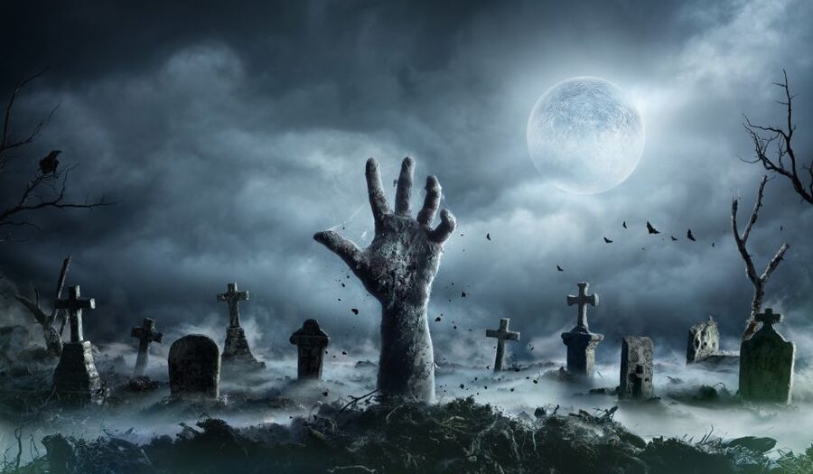 New Orleans: Night Cemetery and Ghost BYOB Bus Tour - Key points to know before booking