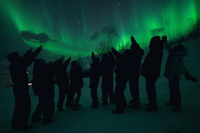 Northern Lights Big Bus Chase with Chasing Lights - What happens at the viewing sites