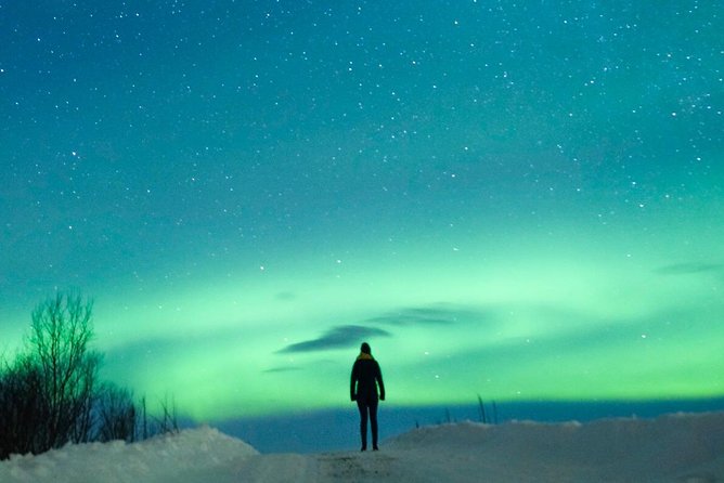 Northern Lights Bus Tour from Reykjavik with Hot Chocolate - Who should book this aurora chase?