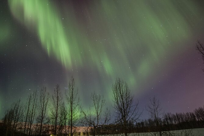 Northern Lights Classic MiniBus Tour from Akureyri - Who will enjoy this Akureyri tour?