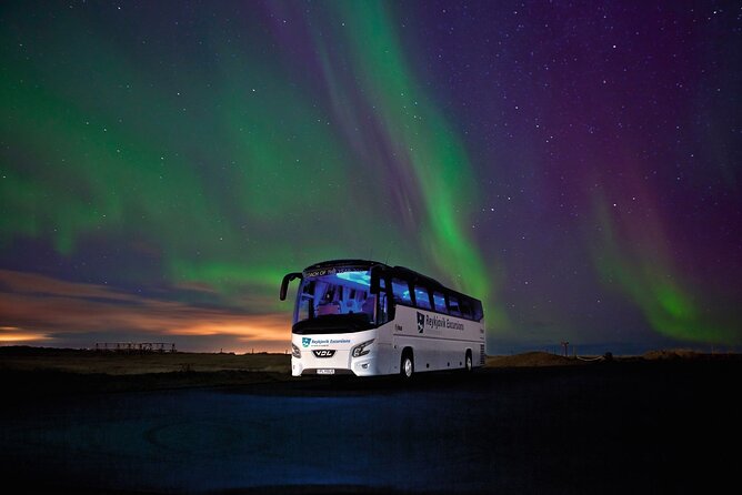 Northern Lights Guided Bus Tour from Reykjavik - Returning to BSÍ