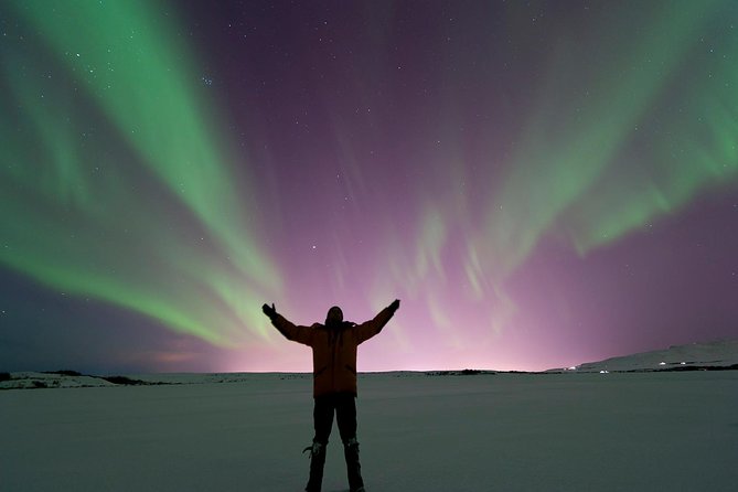 Northern Lights Guided Bus Tour from Reykjavik - What the aurora looks like in real life
