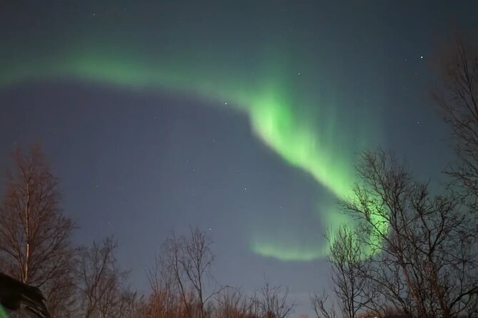 Northern Lights Minibus Chase Max 16 Person In Group - Weather, Road Conditions, and Backup Plans