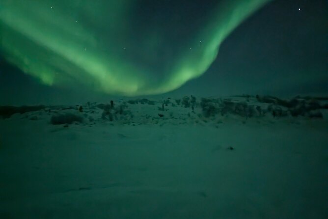 Northern Lights Minibus Chase Max 16 Person In Group - The Minibus Advantage, With One Big Qualification