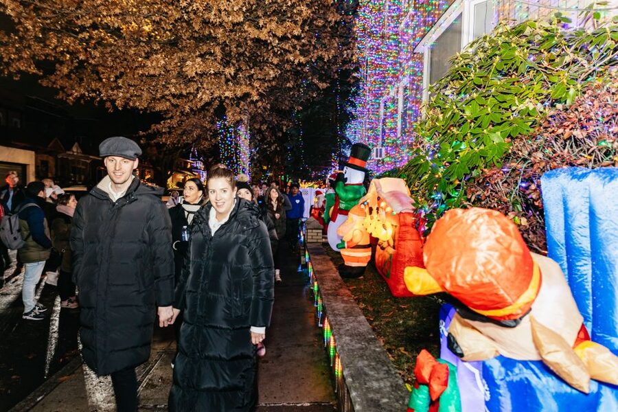 NYC: Dyker Heights Christmas Lights & Skyline View Bus Tour - Should you book the Dyker Heights bus tour?