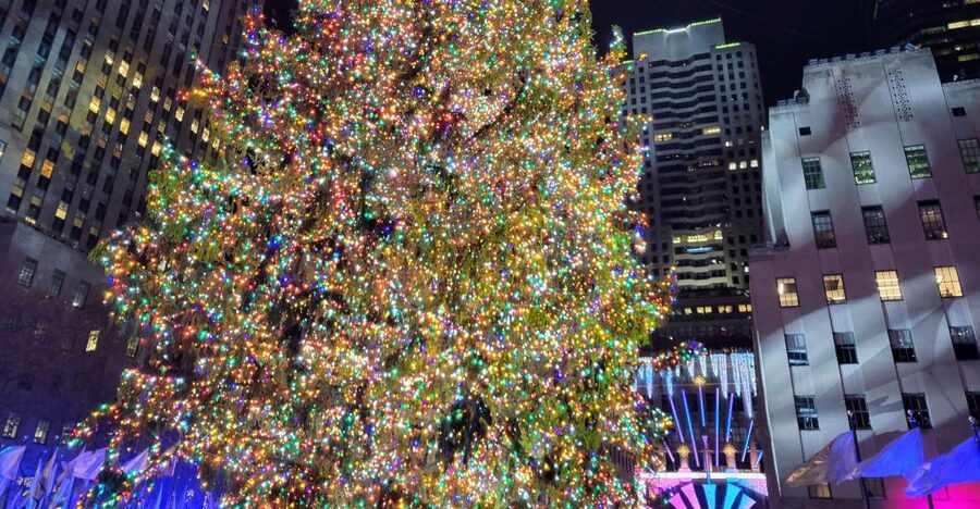 NYC: Holiday Lights Guided Bus Tour - What you get for $89