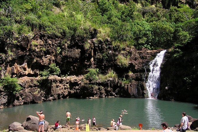 Oahu North Shore Experience: Activities, Waterfall & Free Time - Why this North Shore day works so well
