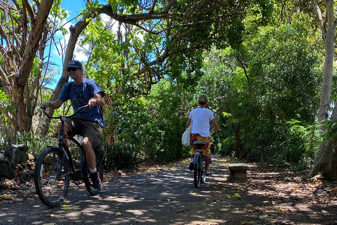 Oahu North Shore Experience: Activities, Waterfall & Free Time - Waimea Valley adds plants, history, and a waterfall
