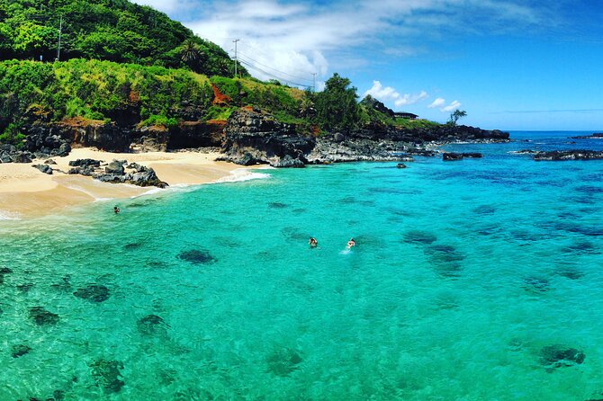 Oahu North Shore Experience: Activities, Waterfall & Free Time - Shark’s Cove is best for confident swimmers