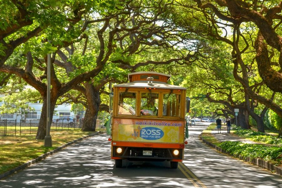 Oahu: Waikiki Trolley Hop-on Hop-off All-Line Pass - Comfort, access, and what to bring