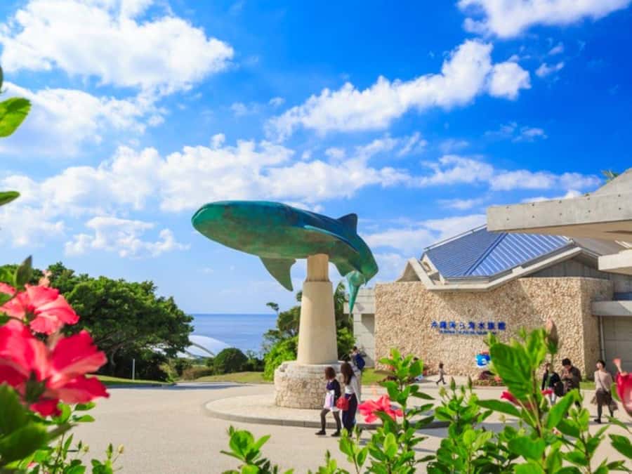 Okinawa: Bus Tour to Churaumi Aquarium with Sightseeing - Key points to know before booking