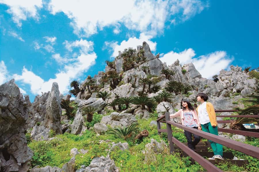 Okinawa: Full-Day Bus Tour to Yanbaru National Park - Why northern Okinawa works well as a bus day trip