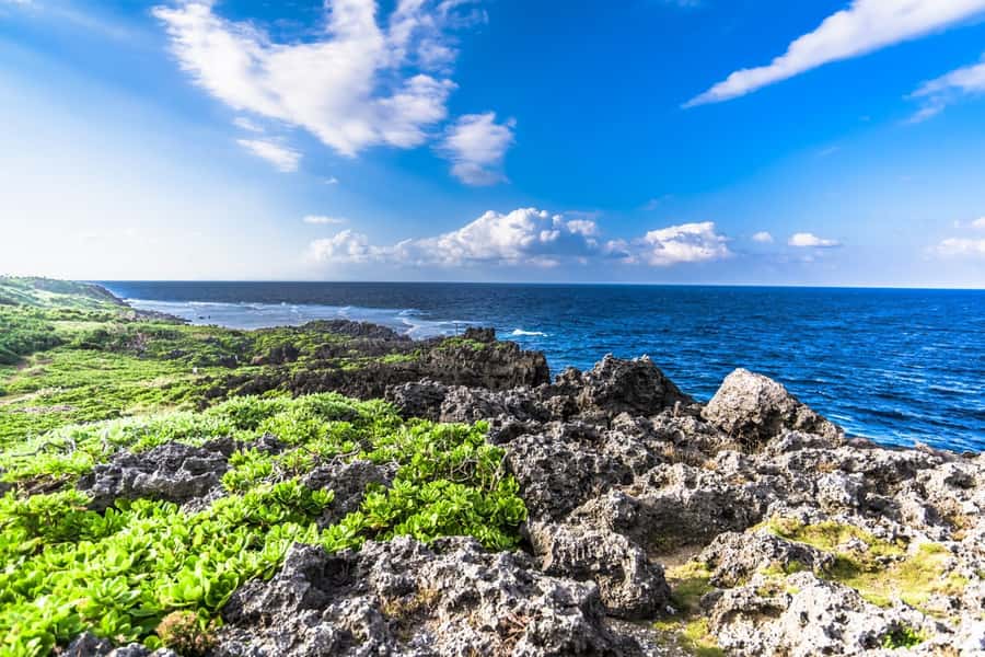 Okinawa: Full-Day Bus Tour to Yanbaru National Park - Cape Hedo, Okinawa’s northern tip