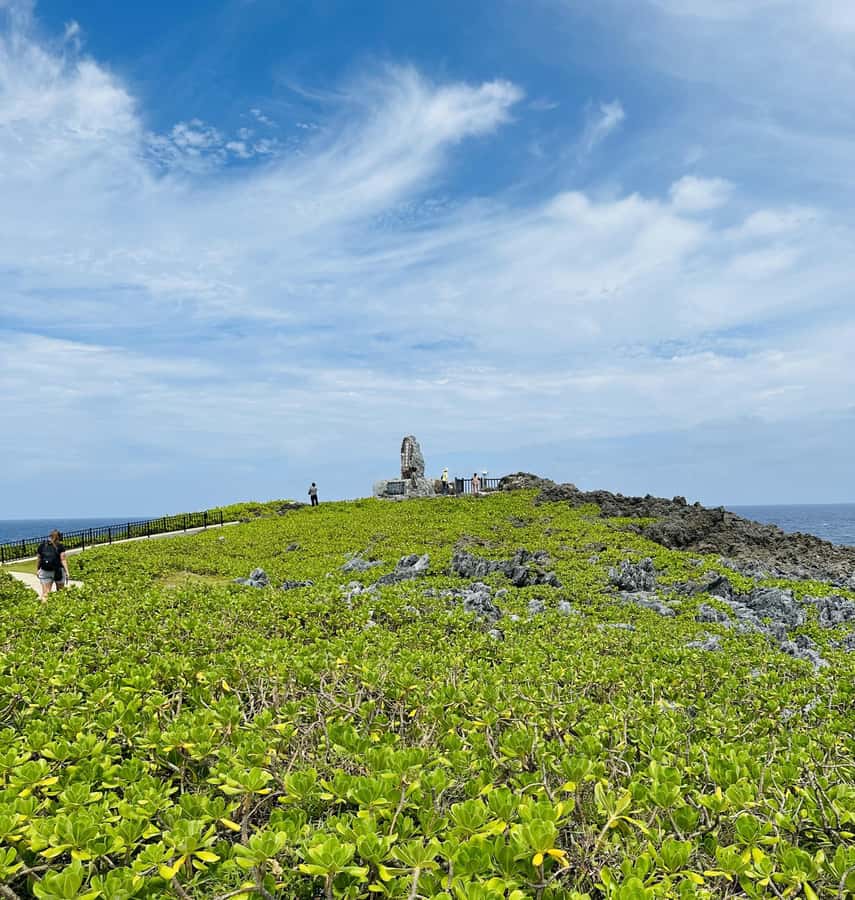 Okinawa: Full-Day Bus Tour to Yanbaru National Park - The Okinawa rail and the ecology center