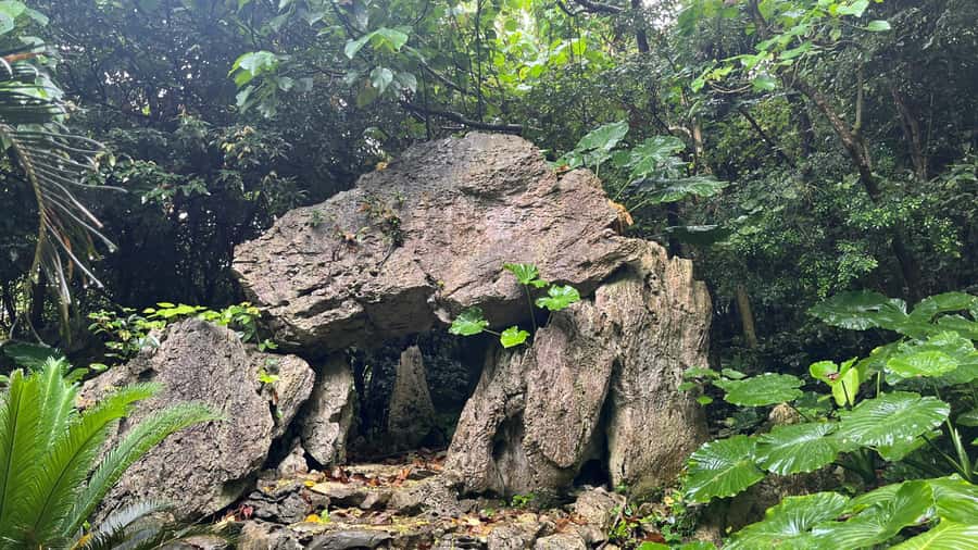 Okinawa: Full-Day Bus Tour to Yanbaru National Park - The return to Naha can run late