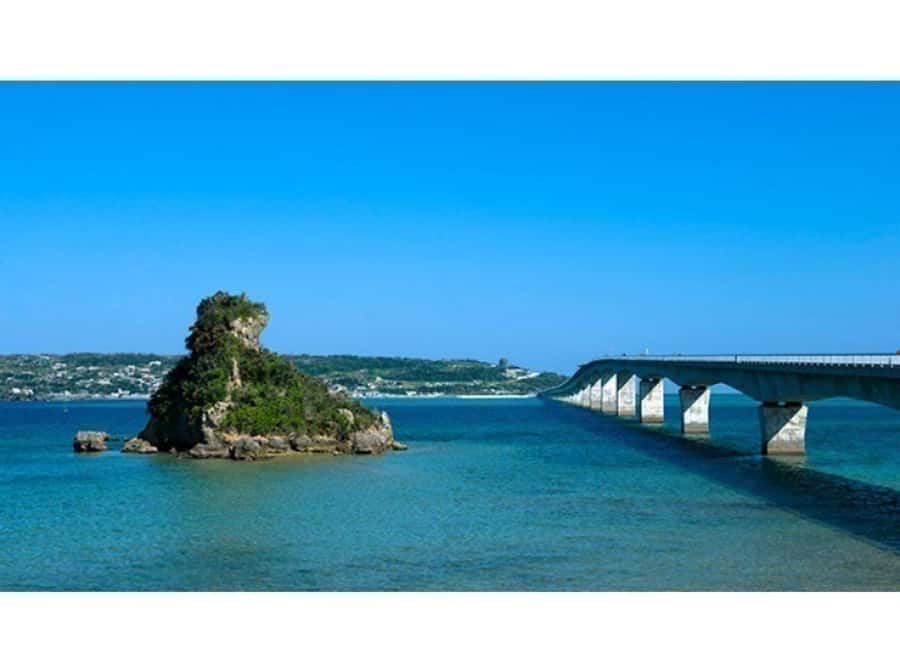 Okinawa: Full-Day Bus Tour to Yanbaru National Park - Who will get the most from this tour