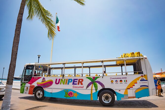 Open Top City Tour & Beach Break - Who will enjoy this outing most