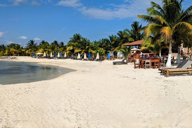 Open Top City Tour & Beach Break - The open-top bus ride across Cozumel
