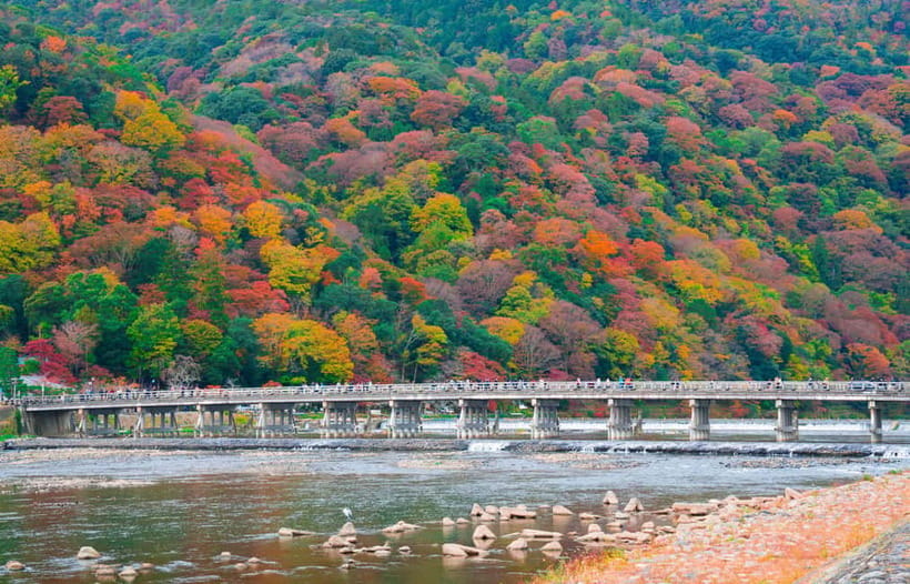 Osaka/Kyoto: Katsuoji, Kinkakuji, Arashiyama 1-Day Bus Tour - Practical ways to enjoy the route