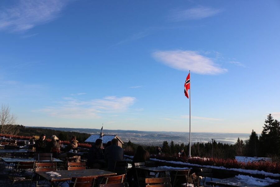 Oslo: Guided Oslo Highlights Tour by bus & Oslofjord cruise - Vigeland Sculpture Park is the artistic centerpiece
