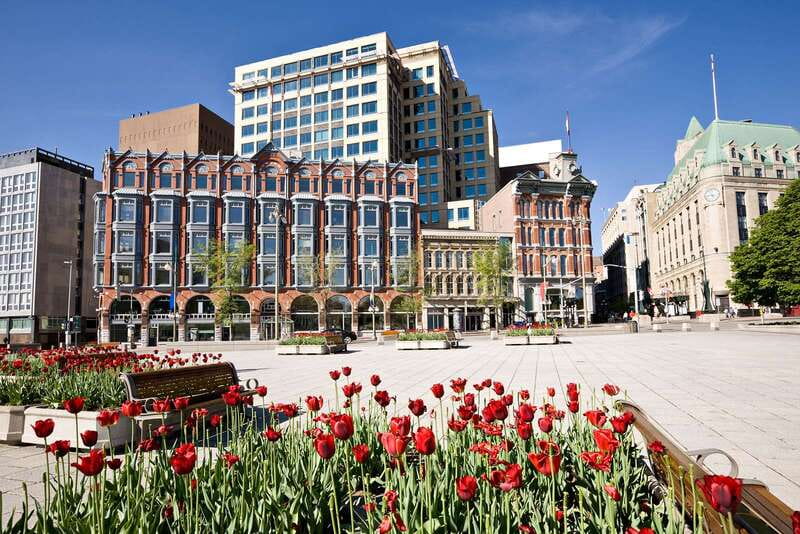 Ottawa: Hop-On Hop-Off Guided City Tour Pass - Open-top views and rainy-day comfort