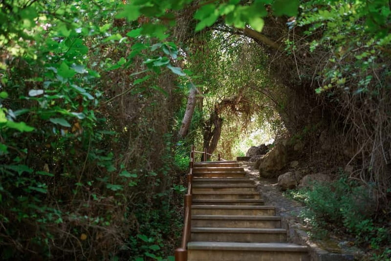 Paphos/Akamas: Blue Lagoon Bus & Boat Tour with Water Slide - Why this Akamas day trip works so well