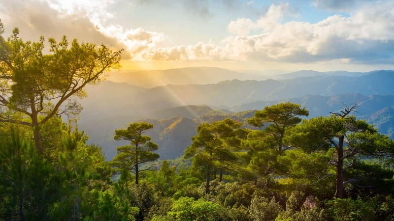 PAPHOS: Troodos Mountains "Monasteries & Villages" by coach - Chrysorrogiatissa Monastery and its hillside views