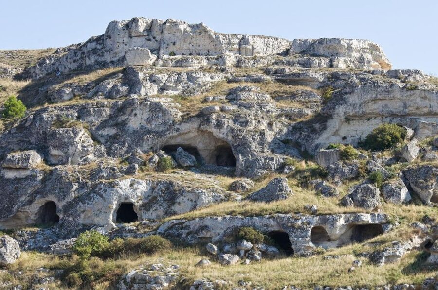 Parco Murgia: Eco-Bus Open Top (official tour) - Key points to know before booking