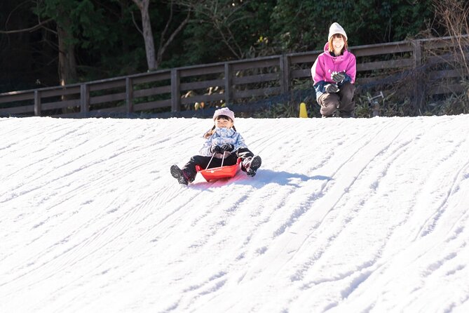 Play with Snow Crab Buffet Lunch and Strawberry Picking Bus Tour - A winter day that covers four very different pleasures