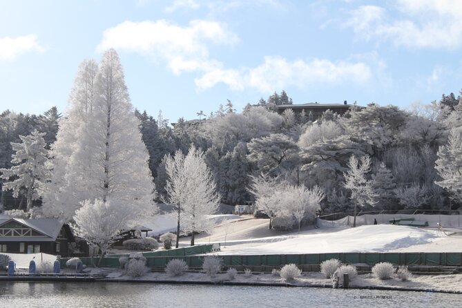 Play with Snow Crab Buffet Lunch and Strawberry Picking Bus Tour - Mt. Rokko Snow Park gives the day its winter feel