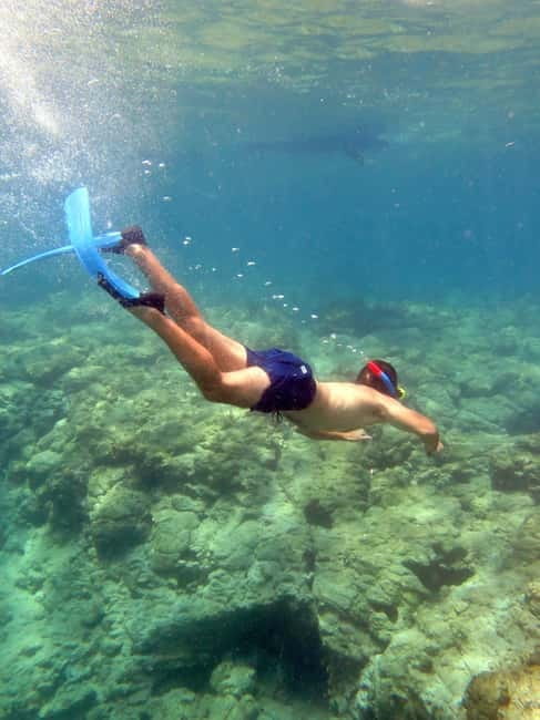 Polis: Blue Lagoon Boat Tour with bus from Paphos - From Paphos hotels to Latchi Harbour