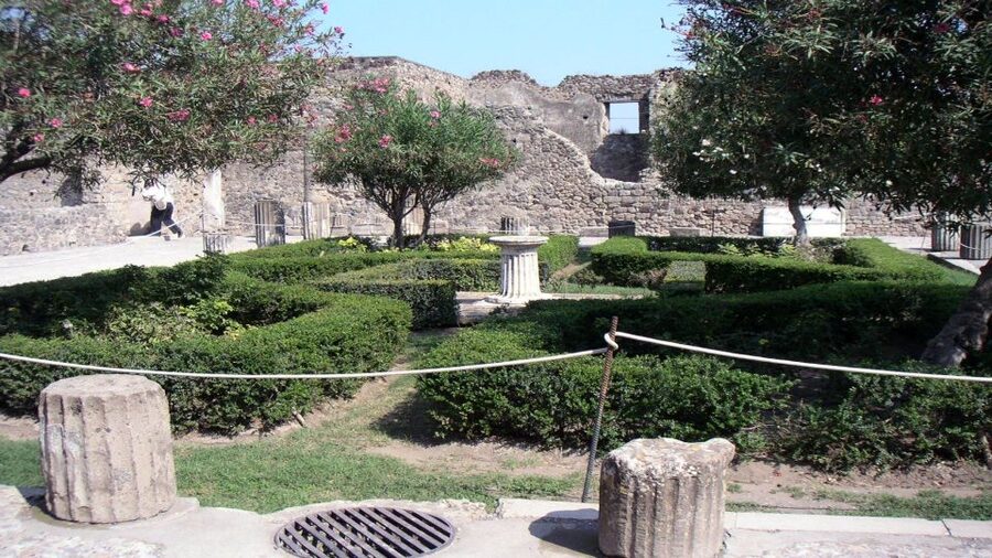 Pompeii Half-Day Coach Tour from Sorrento - The Garden of the Fugitives and the eruption