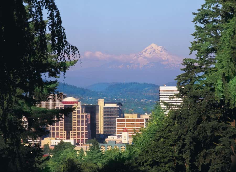 Portland, Oregon: Pink Trolley Hop-On Hop-Off Tour - Stop 8: Riverplace and the Willamette River