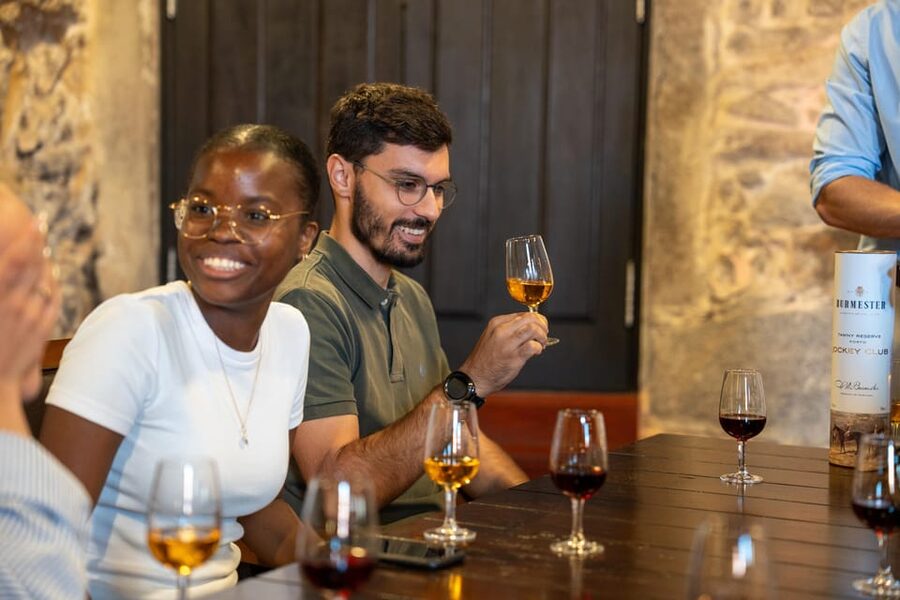 Porto City Full Day Minibus Tour, Wine Tasting & Six Brigdes - Key things to know before booking