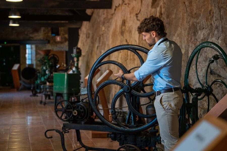 Porto City Full Day Minibus Tour, Wine Tasting & Six Brigdes - Starting at Avenida dos Aliados