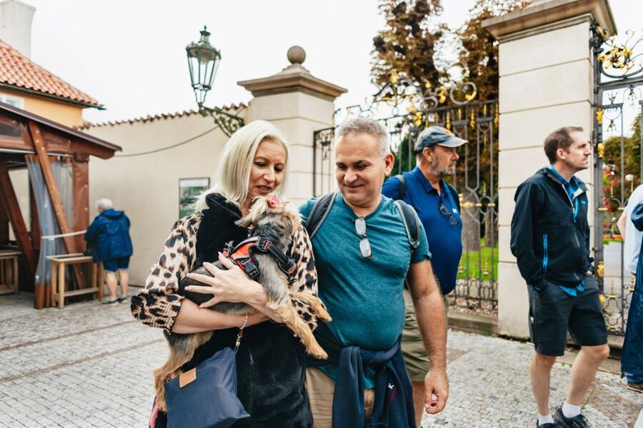 Prague: City Highlights By Bus, Boat, and on Foot - The Vltava cruise and the best Charles Bridge views