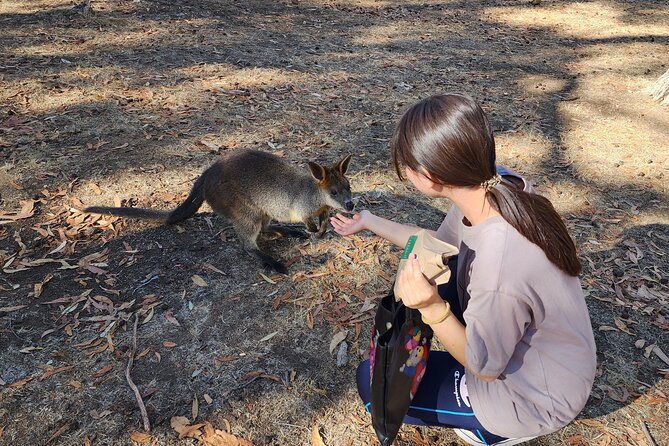 Premium Adelaide Hills Cleland Wildlife and Hahndorf Minibus Tour - Hahndorf: two hours for lunch and a wander
