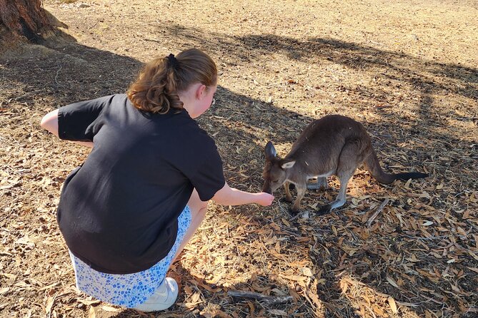 Premium Adelaide Hills Cleland Wildlife and Hahndorf Minibus Tour - The ride home through the Adelaide Hills