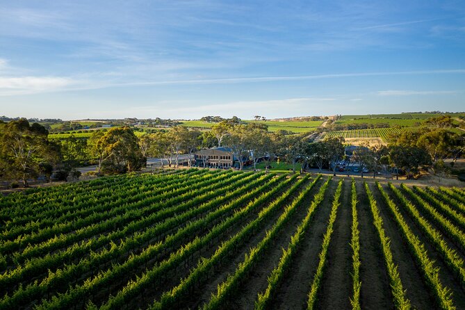 Premium All-Inclusive McLaren Vale Wine and Brew Minibus Tour - The coastal route home and Glenelg option