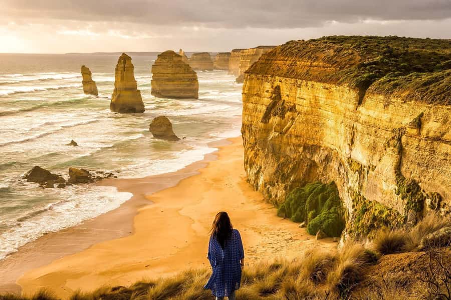 PREMIUM Great Ocean RD Tour REVRS-Luxry SML GRP-Hotel PickUP - Wildlife stops with a realistic expectation