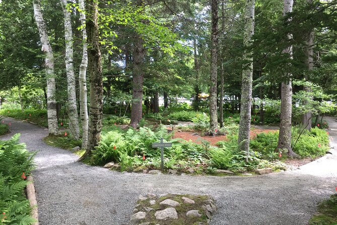 Premium Narrated Bus Tour of Bar Harbor and Acadia National Park (3.5 Hours) - Who will get the most from the $99.36 price