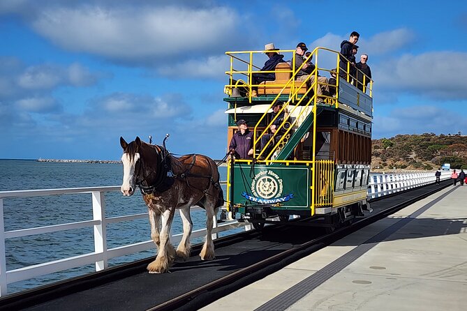 Premium Victor Harbor, Port Elliot and d'Arenberg Minibus Tour - Key points at a glance