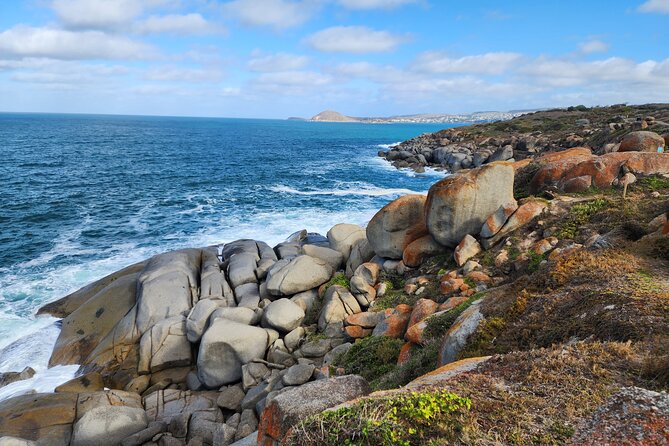 Premium Victor Harbor, Port Elliot and d'Arenberg Minibus Tour - Two free hours to make Victor Harbor your own