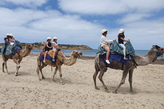 Premium Victor Harbor, Port Elliot and d'Arenberg Minibus Tour - A relaxed first stop at McLaren Vale