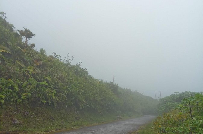 Private Dominica Tour to Trafalgar Falls &Titou Gorge via Minibus - Freshwater Lake above the Roseau Valley