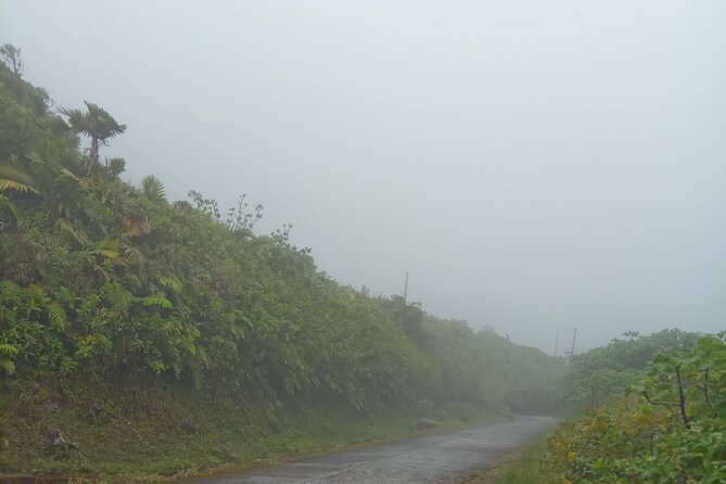 Private Dominica Tour to Trafalgar Falls &Titou Gorge via Minibus - What the $500 group price really buys