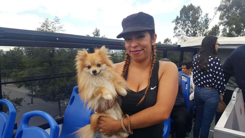 Puebla Sightseeing Tour by Double-Decker Tram - Principal Theater and Candy Street