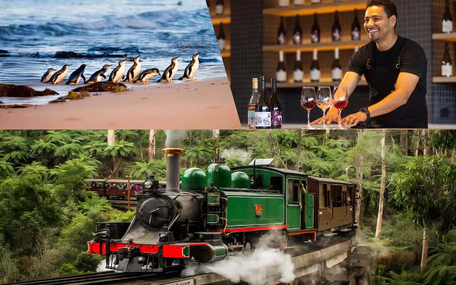 Puffing Billy Penguin Parade Winery Chocolaterie All-in-One - One long day, four very different Australian experiences
