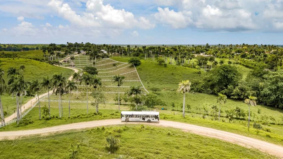 Punta Cana: Xploration Animal Park Bus Tour with Encounters - Meeting the animals, from rabbits to ostrich